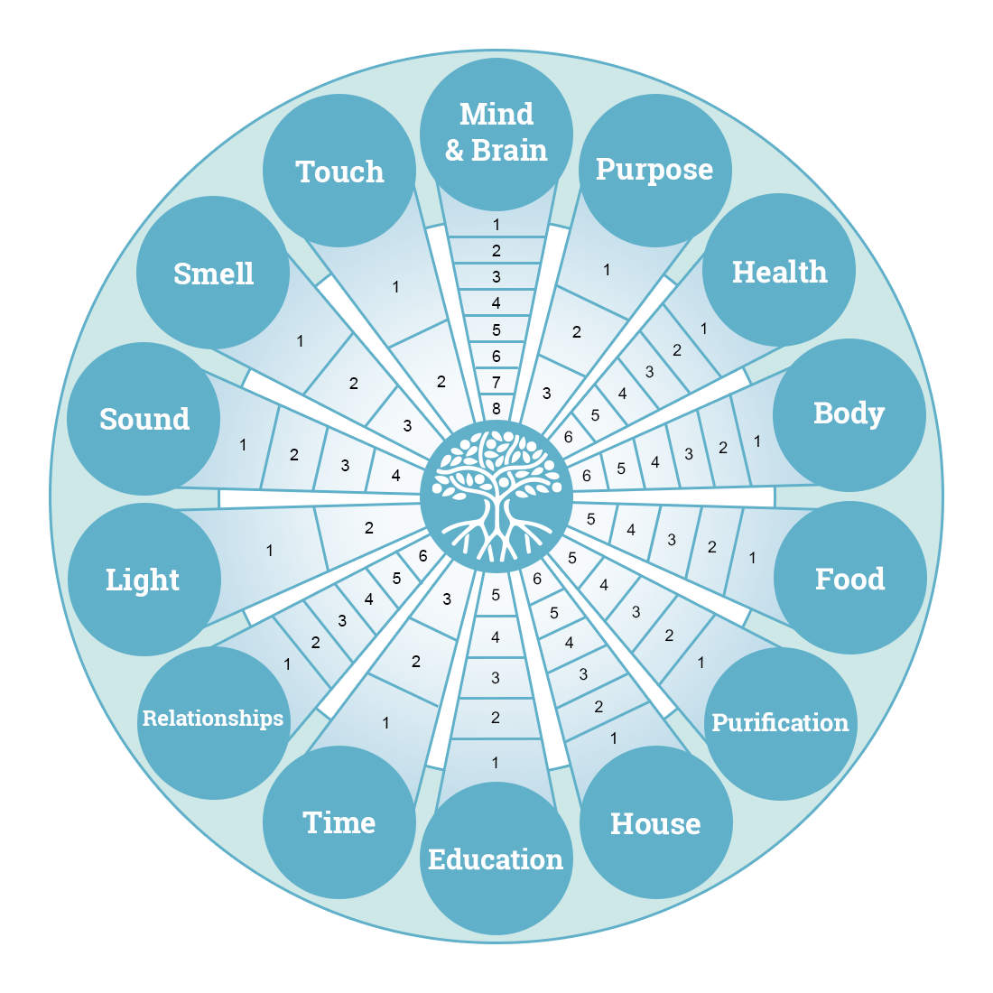 A wheel diagram showing the 14 areas of life explored in the course: Mind & Brain, Purpose, Health, Body, Food, Purification, House, Education, Time, Relationships, Light, Sound, Smell, and Touch